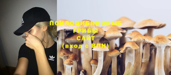 спайс Абдулино