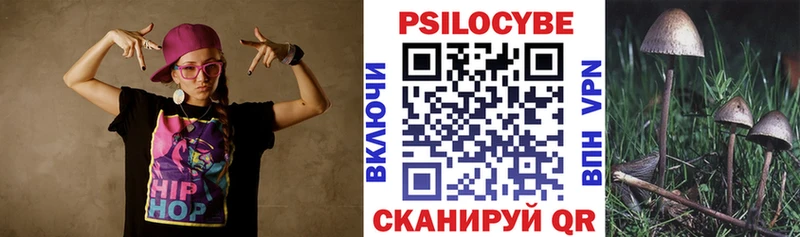 где можно купить наркотик  Циолковский  Галлюциногенные грибы ЛСД 